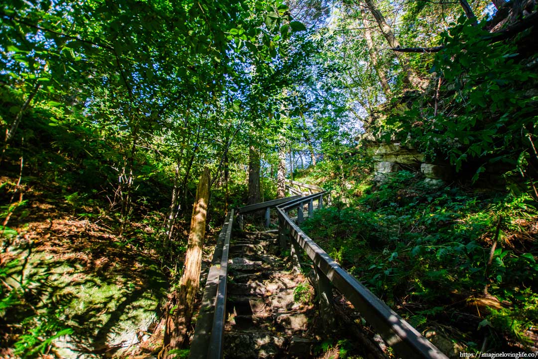 trail to north lookout